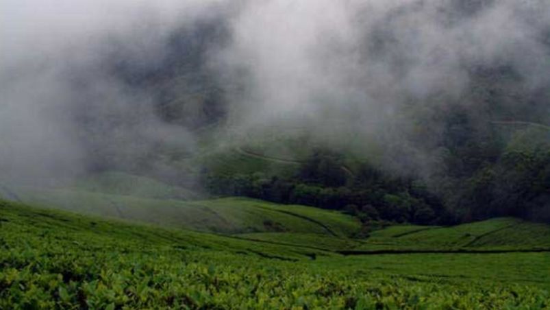 Hills on a foggy morning