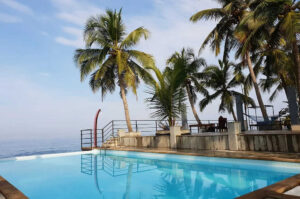 A swimming pool and palm trees.