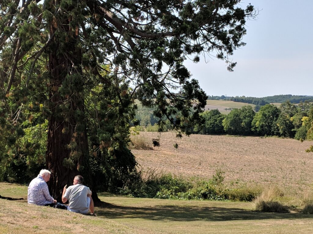 Two people sitting on the grass under a large tree.